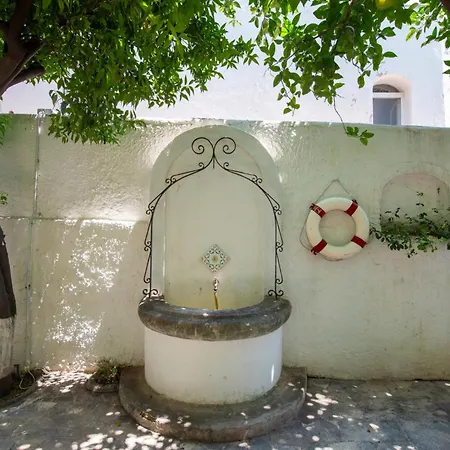 Elio بوسيتانو